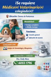 Medico Veterinario Colegiado Chomes Puntarenas. 