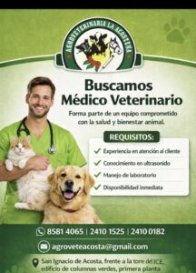 Medico Veterinario