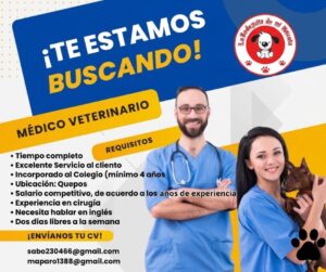 Medico Veterinario