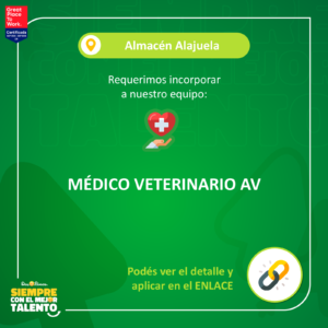 Medico Veterinario AV Alajuela
