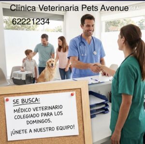 Pets Avenue