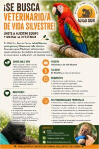 Veterinario de vida silvestre