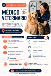Medico Veterinario Coronado