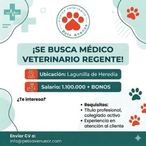 Pet´s Avenue