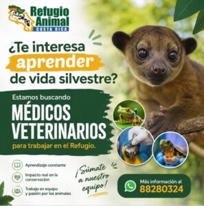 Refugio de animales
