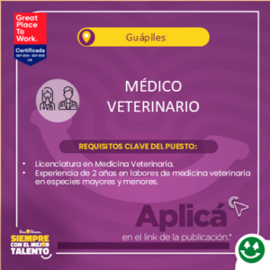 Medico Veterinario