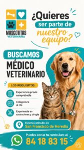 Mascotitas Veterinaria
